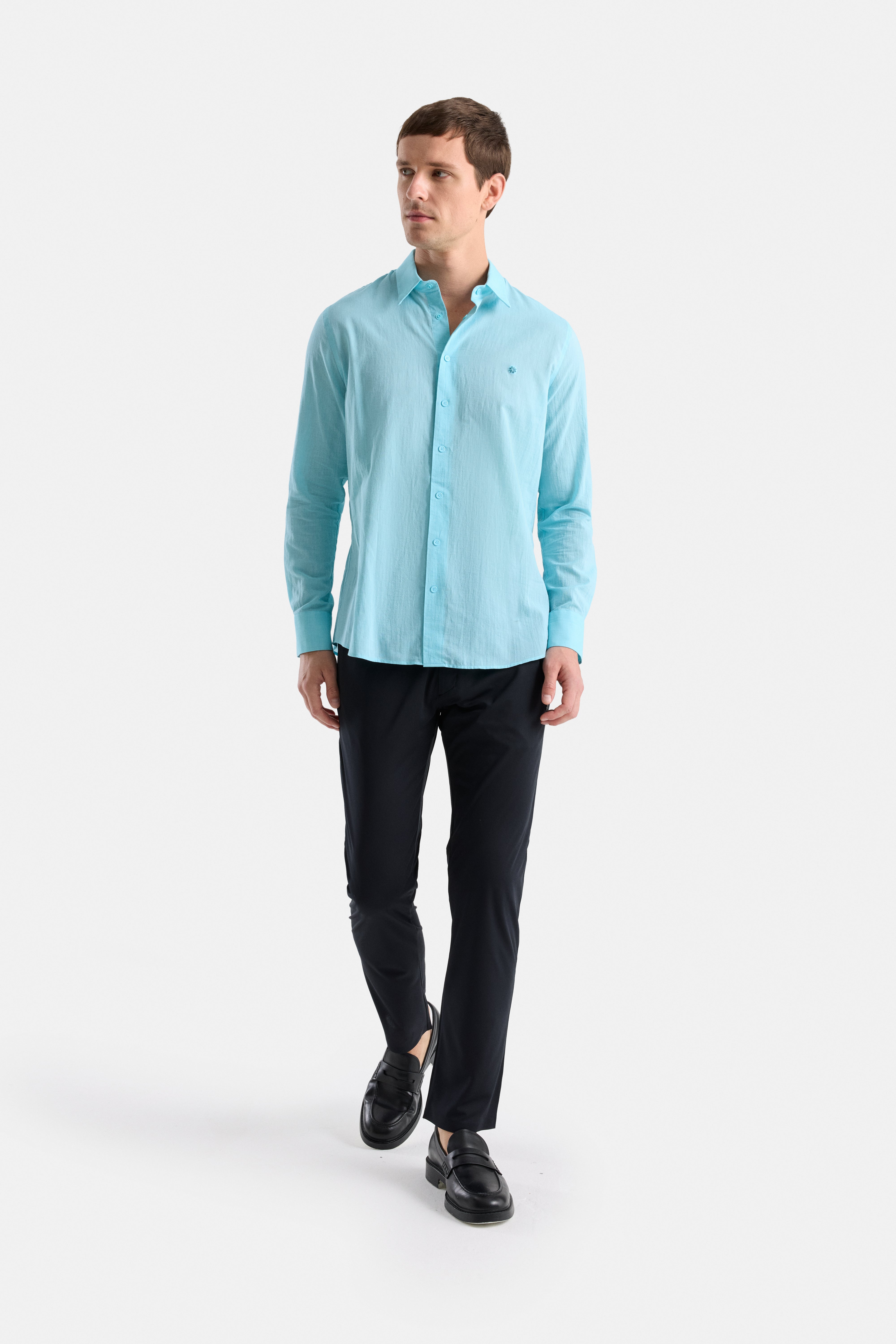 #renk_turquoise