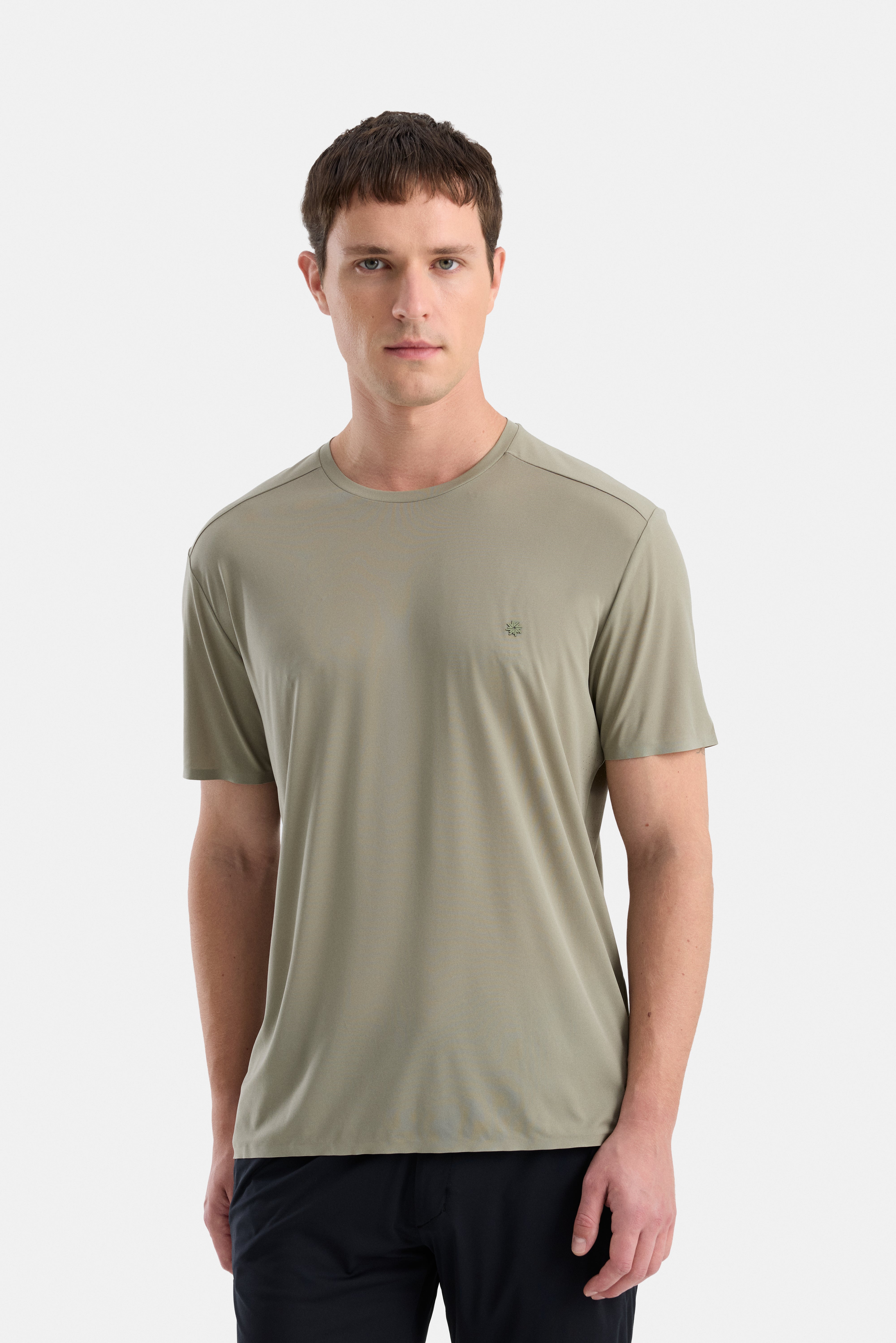 #renk_lichen green
